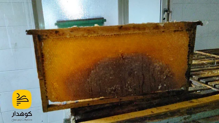 عسل باموم چهل گیاه