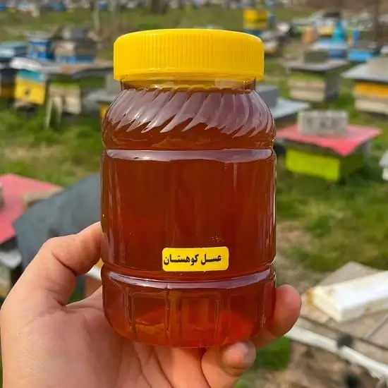 عسل طبیعی کوهستان یک کیلویی عسل طبیعی کوهستان یک کیلویی
