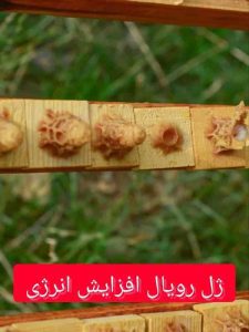 بهترین زمان مصرف ژل رویال برای افزایش انرژی