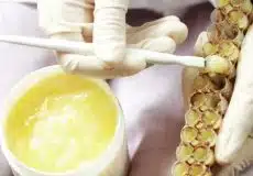 مقایسه ژل رویال جینسینگ ماکا اسپیرولینا