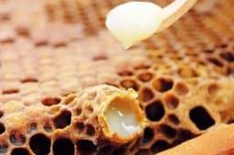 فواید ژل رویال برای ورزشکاران