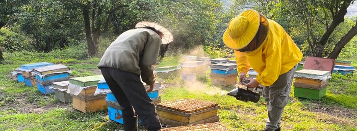 نگهداری زنبورستان کوهدار