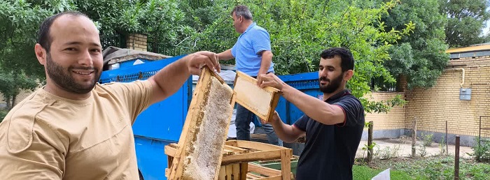 بسته بندی کوهدار