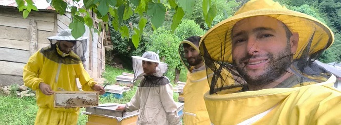 زنبورداری کوهدار