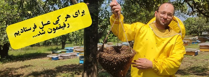 زنبورکوهدار